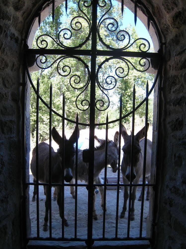 Une Campagne En Provence Bras Exteriör bild