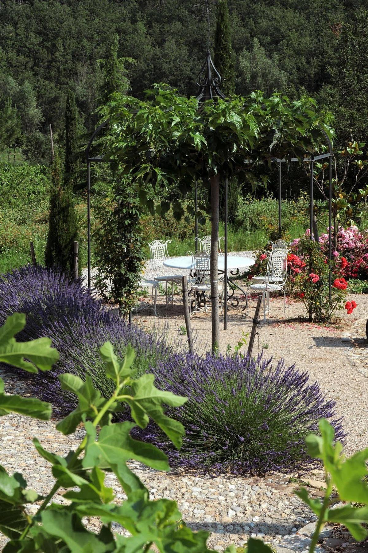 Une Campagne En Provence Bras Exteriör bild